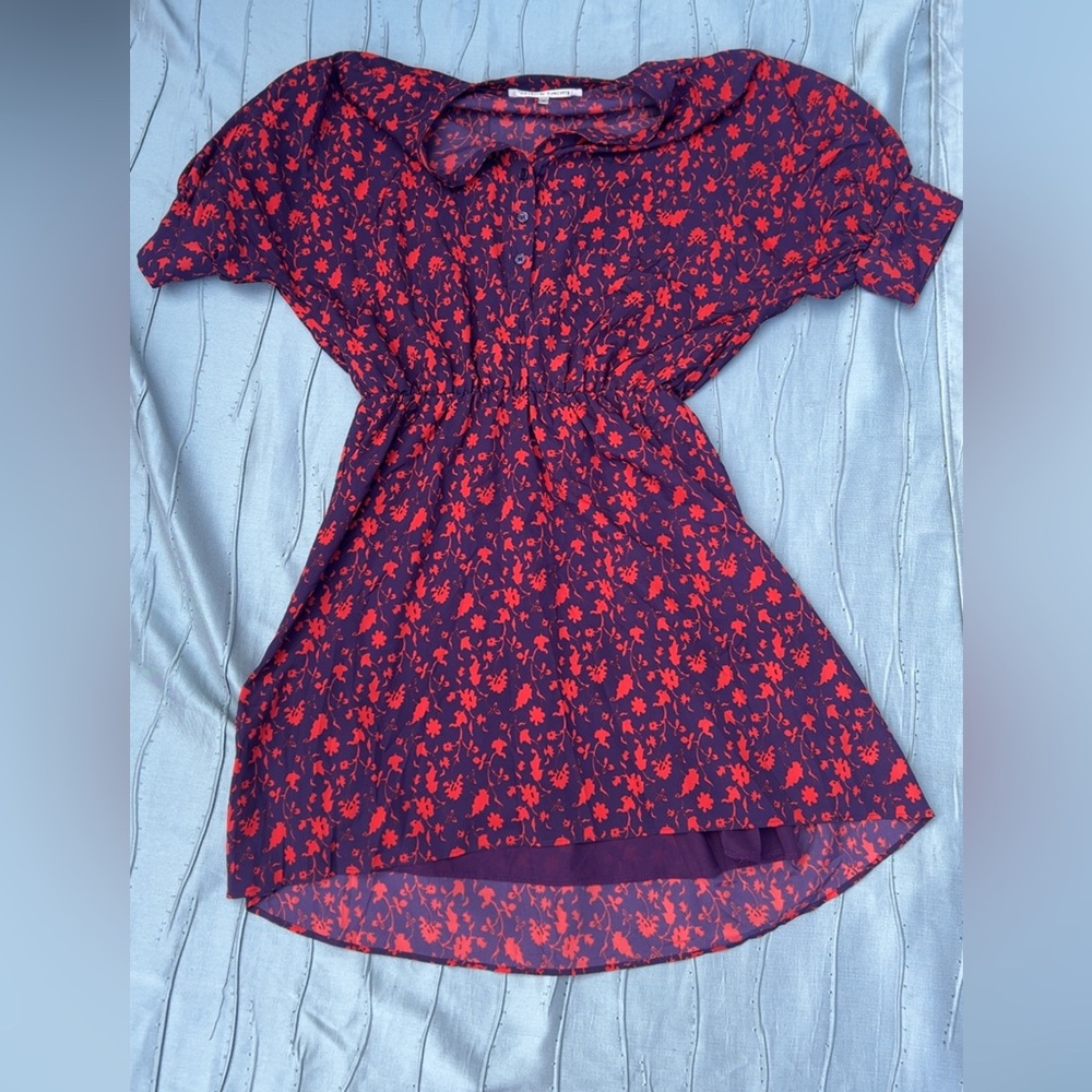 Collective Concepts Red and Purple Floral Dress
